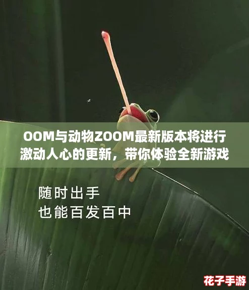 OOM与动物ZOOM最新版本将进行激动人心的更新，带你体验全新游戏乐趣！