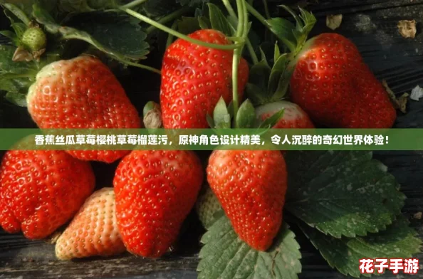 香蕉丝瓜草莓樱桃草莓榴莲污，原神角色设计精美，令人沉醉的奇幻世界体验！