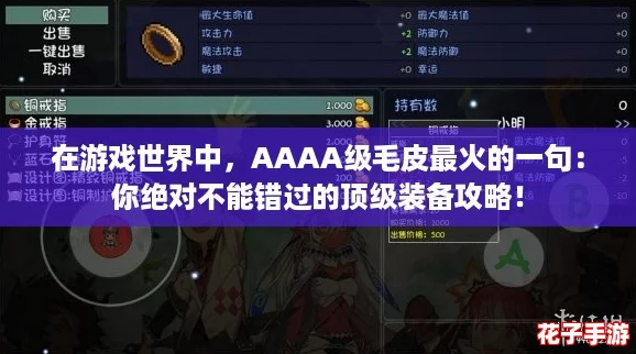 在游戏世界中，AAAA级毛皮最火的一句：你绝对不能错过的顶级装备攻略！
