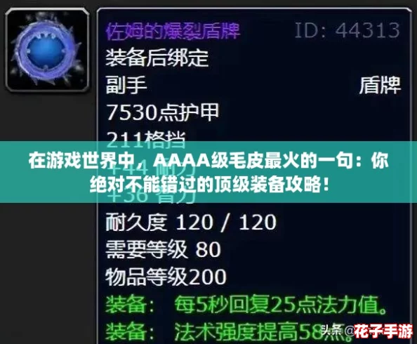在游戏世界中，AAAA级毛皮最火的一句：你绝对不能错过的顶级装备攻略！