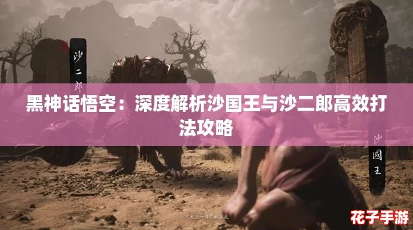 黑神话悟空：深度解析沙国王与沙二郎高效打法攻略