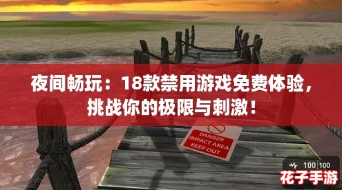 夜间畅玩：18款禁用游戏免费体验，挑战你的极限与刺激！