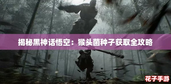揭秘黑神话悟空：猴头菌种子获取全攻略