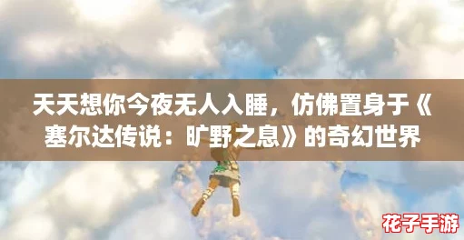 天天想你今夜无人入睡，仿佛置身于《塞尔达传说：旷野之息》的奇幻世界