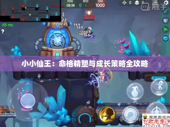 小小仙王：命格精塑与成长策略全攻略