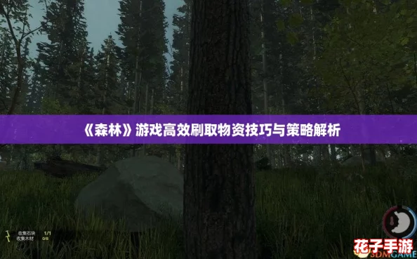 《森林》游戏高效刷取物资技巧与策略解析 《森林》游戏高效刷取物资技巧与策略解析