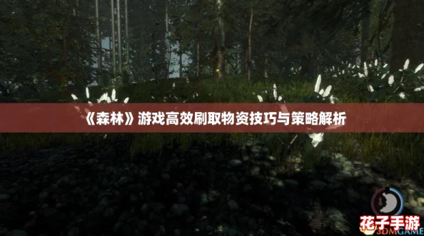 《森林》游戏高效刷取物资技巧与策略解析 《森林》游戏高效刷取物资技巧与策略解析