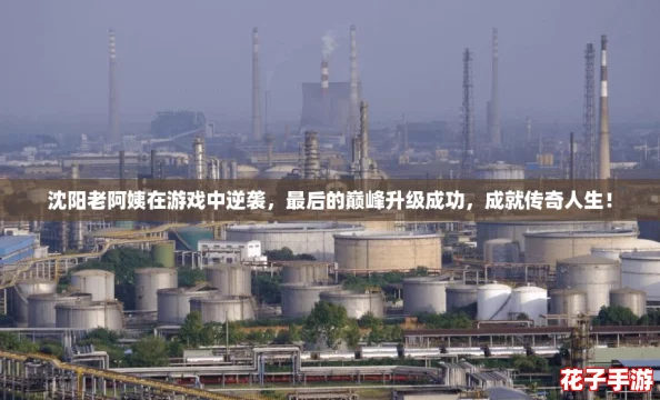沈阳老阿姨在游戏中逆袭，最后的巅峰升级成功，成就传奇人生！