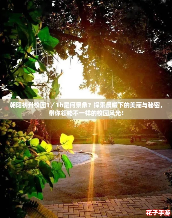 朝阳初升校园1／1h是何景象？探索晨曦下的美丽与秘密，带你领略不一样的校园风光！