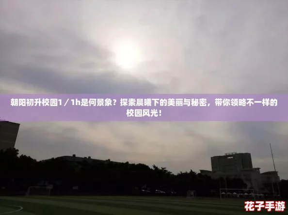 朝阳初升校园1/1h是何景象?探索晨曦下的美丽与秘密,带你领略不一样的校园风光! 朝阳初升校园1/1h是何景象?探索晨曦下的美丽与秘密,带你领略不一样的校园风光!