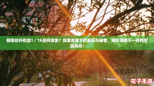朝阳初升校园1/1h是何景象?探索晨曦下的美丽与秘密,带你领略不一样的校园风光! 朝阳初升校园1/1h是何景象?探索晨曦下的美丽与秘密,带你领略不一样的校园风光!
