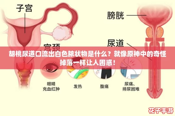 胡桃尿道口流出白色脓状物是什么?就像原神中的奇怪掉落一样让人困惑! 胡桃尿道口流出白色脓状物是什么?就像原神中的奇怪掉落一样让人困惑!