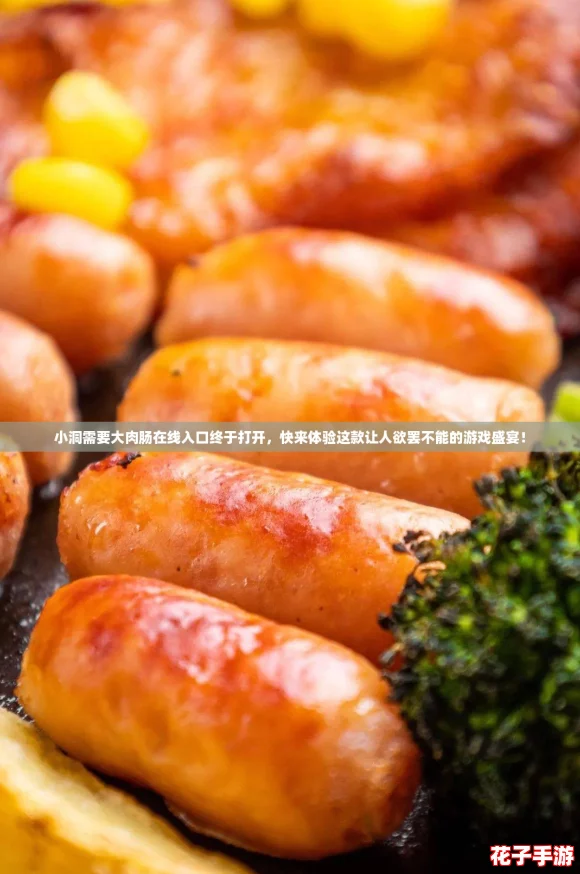 小洞需要大肉肠在线入口终于打开，快来体验这款让人欲罢不能的游戏盛宴！