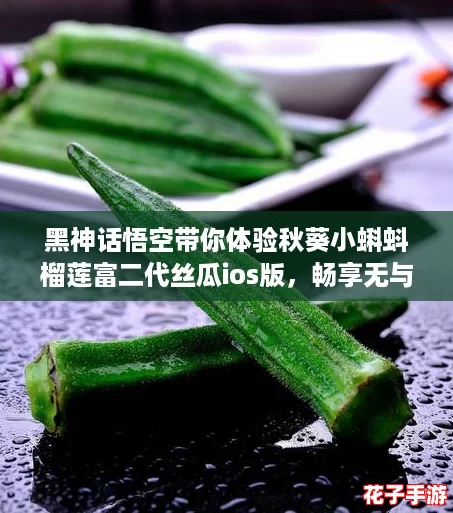 黑神话悟空带你体验秋葵小蝌蚪榴莲富二代丝瓜ios版，畅享无与伦比的游戏乐趣！