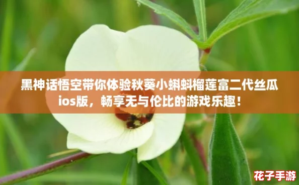 黑神话悟空带你体验秋葵小蝌蚪榴莲富二代丝瓜ios版,畅享无与伦比的游戏乐趣! 黑神话悟空带你体验秋葵小蝌蚪榴莲富二代丝瓜ios版,畅享无与伦比的游戏乐趣!
