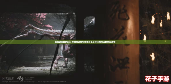 暴躁老阿姨的CS：在黑神话悟空中体验无与伦比的战斗快感与激情！