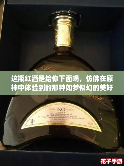 这瓶红酒是给你下面喝，仿佛在原神中体验到的那种如梦似幻的美好时光