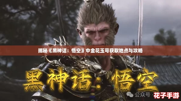 揭秘《黑神话：悟空》中金花玉萼获取地点与攻略