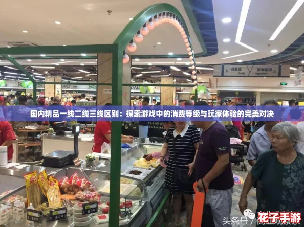 国内精品一线二线三线区别：探索游戏中的消费等级与玩家体验的完美对决
