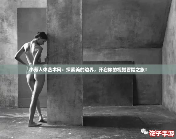 小芳人体艺术网:探索美的边界,开启你的视觉冒险之旅! 小芳人体艺术网:探索美的边界,开启你的视觉冒险之旅!