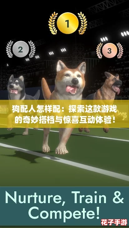 狗配人怎样配：探索这款游戏的奇妙搭档与惊喜互动体验！