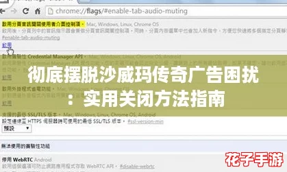彻底摆脱沙威玛传奇广告困扰：实用关闭方法指南