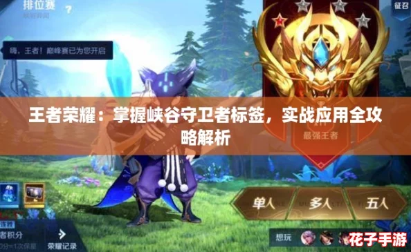 王者荣耀：掌握峡谷守卫者标签，实战应用全攻略解析