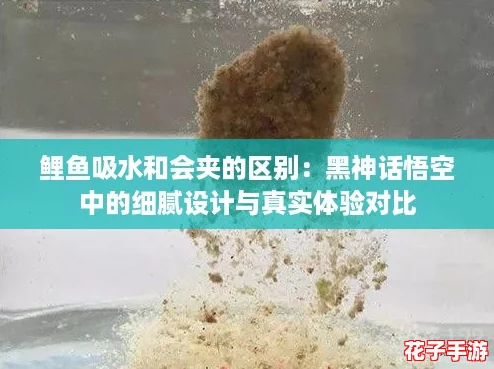 鲤鱼吸水和会夹的区别：黑神话悟空中的细腻设计与真实体验对比