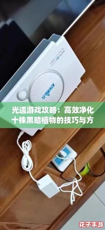 光遇游戏攻略：高效净化十株黑暗植物的技巧与方法