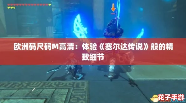 欧洲码尺码M高清：体验《塞尔达传说》般的精致细节