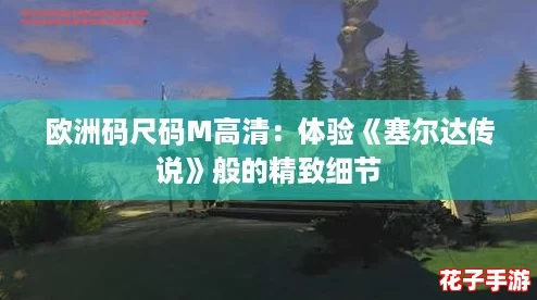 欧洲码尺码M高清:体验《塞尔达传说》般的精致细节 欧洲码尺码M高清:体验《塞尔达传说》般的精致细节
