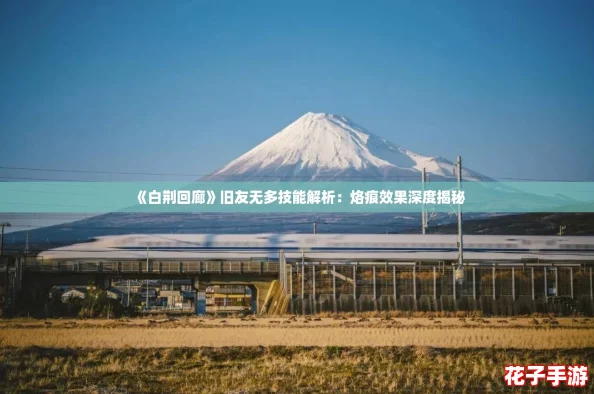 《白荆回廊》旧友无多技能解析:烙痕效果深度揭秘 《白荆回廊》旧友无多技能解析:烙痕效果深度揭秘