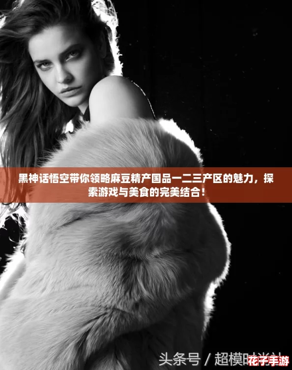 黑神话悟空带你领略麻豆精产国品一二三产区的魅力，探索游戏与美食的完美结合！