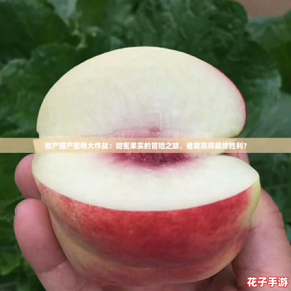 欧产国产蜜桃大作战：甜蜜果实的冒险之旅，谁能赢得最终胜利？