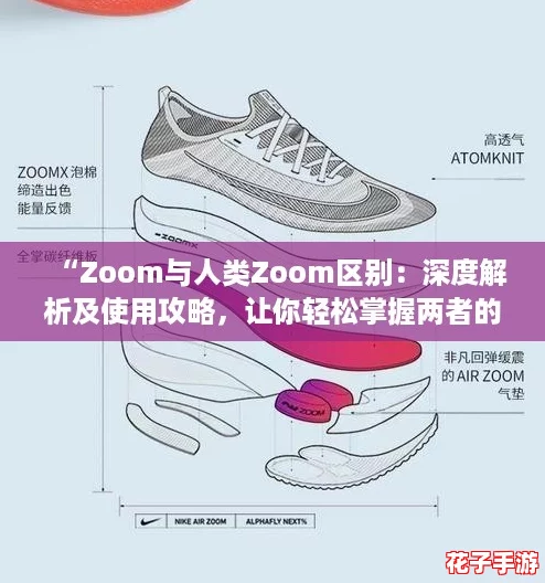 “Zoom与人类Zoom区别：深度解析及使用攻略，让你轻松掌握两者的精髓”