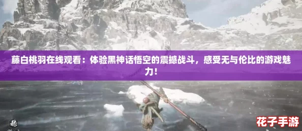 藤白桃羽在线观看：体验黑神话悟空的震撼战斗，感受无与伦比的游戏魅力！