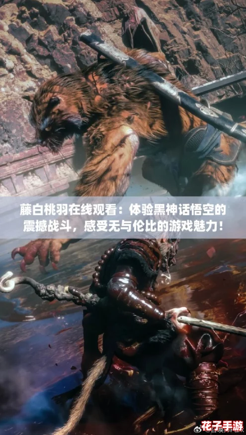 藤白桃羽在线观看：体验黑神话悟空的震撼战斗，感受无与伦比的游戏魅力！