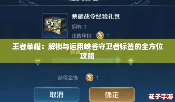 王者荣耀:解锁与运用峡谷守卫者标签的全方位攻略 王者荣耀:解锁与运用峡谷守卫者标签的全方位攻略