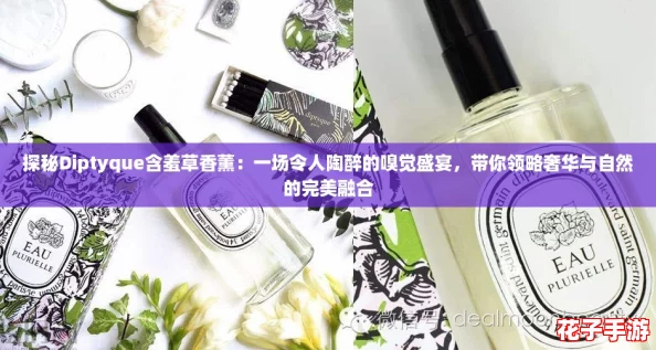 探秘Diptyque含羞草香薰：一场令人陶醉的嗅觉盛宴，带你领略奢华与自然的完美融合