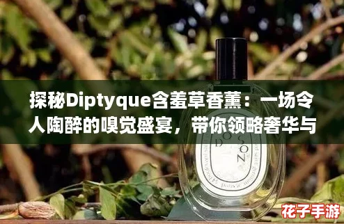 探秘Diptyque含羞草香薰：一场令人陶醉的嗅觉盛宴，带你领略奢华与自然的完美融合
