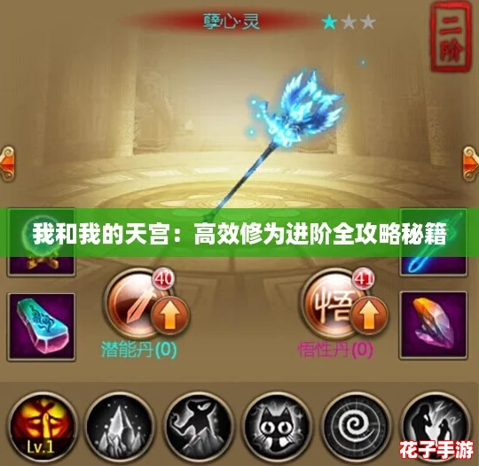 我和我的天宫：高效修为进阶全攻略秘籍