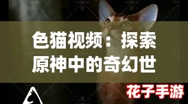 色猫视频：探索原神中的奇幻世界，感受视觉与剧情的完美结合！