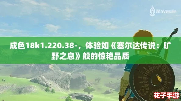 成色18k1.220.38-，体验如《塞尔达传说：旷野之息》般的惊艳品质