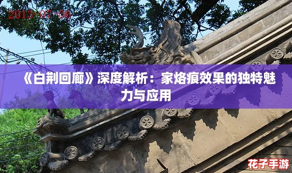 《白荆回廊》深度解析：家烙痕效果的独特魅力与应用