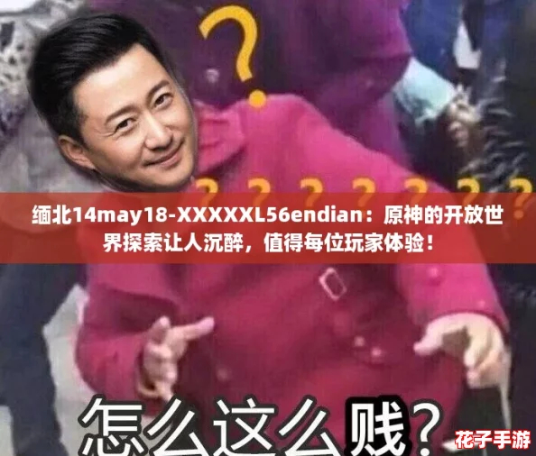 缅北14may18-XXXXXL56endian：原神的开放世界探索让人沉醉，值得每位玩家体验！
