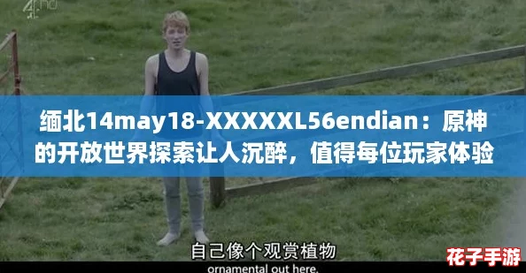 缅北14may18-XXXXXL56endian：原神的开放世界探索让人沉醉，值得每位玩家体验！