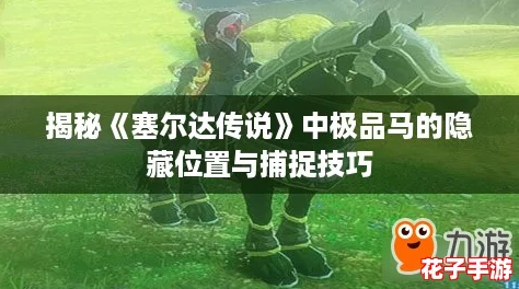 揭秘《塞尔达传说》中极品马的隐藏位置与捕捉技巧