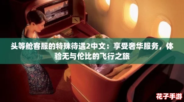 头等舱客服的特殊待遇2中文：享受奢华服务，体验无与伦比的飞行之旅