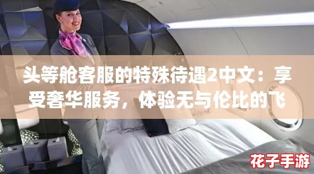 头等舱客服的特殊待遇2中文：享受奢华服务，体验无与伦比的飞行之旅