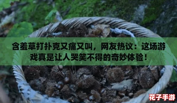含羞草打扑克又痛又叫，网友热议：这场游戏真是让人哭笑不得的奇妙体验！
